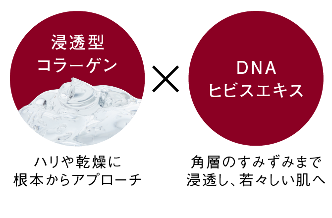 浸透型コラーゲン ハリや乾燥に根本からアプローチ×DNAヒビスエキス 角層のすみずみまで浸透し、若々しい肌へ