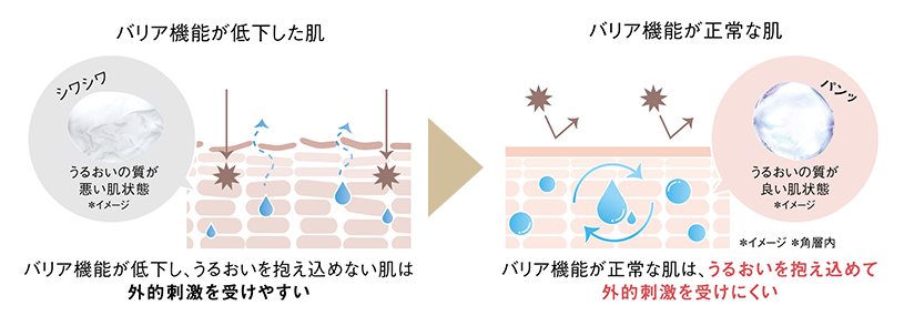 バリア機能が低下し、うるおいを抱え込めない肌は外的刺激を受けやすい → バリア機能が正常な肌は、うるおいを抱え込めて外的刺激を受けにくい
