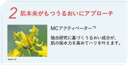 2 肌本来がもつうるおいにアプローチ MCアクティベーター*5 独自研究に基づくうるおい成分が、肌の保水力を高めてハリを叶えます。 *イメージ