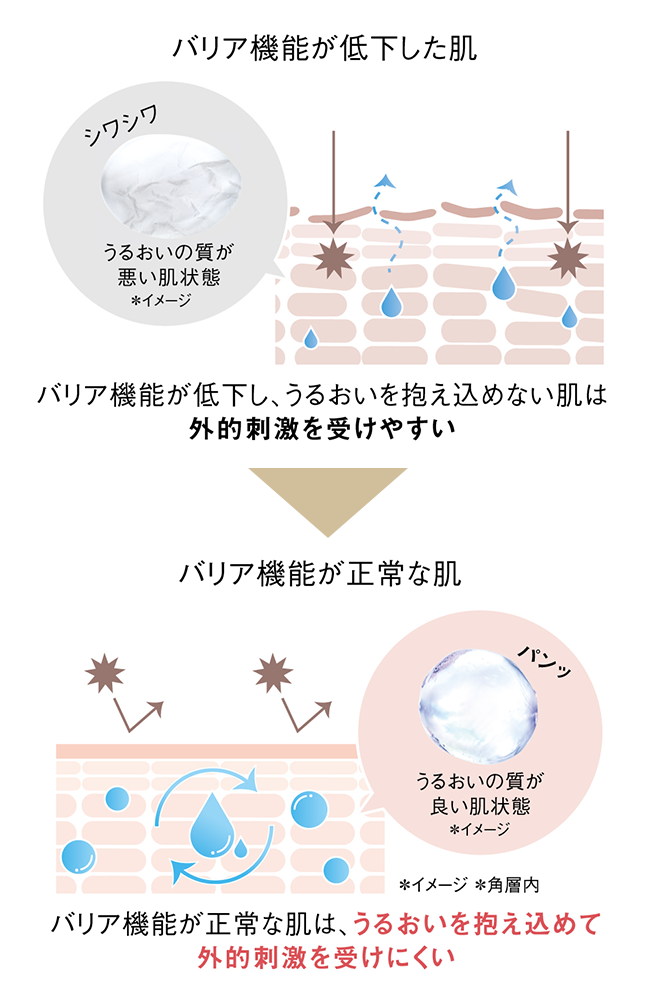 バリア機能が低下し、うるおいを抱え込めない肌は外的刺激を受けやすい → バリア機能が正常な肌は、うるおいを抱え込めて外的刺激を受けにくい