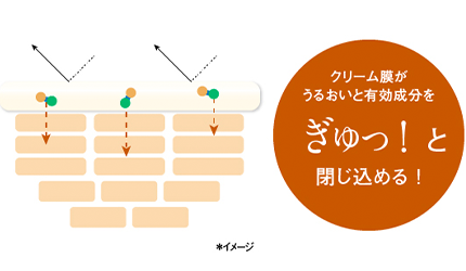 クリーム膜がうるおいと有効成分をぎゅっと閉じ込める！