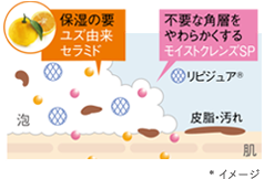 肌図:ユズ由来セラミド／モイストクレンズSP *イメージ