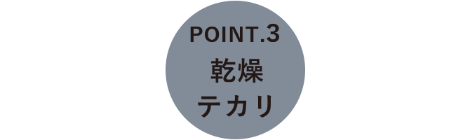 POINT.3 乾燥テカリ