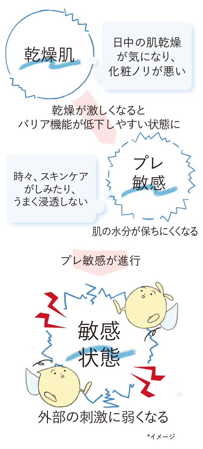 乾燥肌：日中の肌乾燥が気になり、化粧ノリが悪い 乾燥が激しくなるとバリア機能が低下しやすい状態に プレ敏感：時々、スキンケアがしみたり、うまく浸透しない 肌の水分が保ちにくくなる プレ敏感が進行 敏感状態：外部の刺激に弱くなる *イメージ
