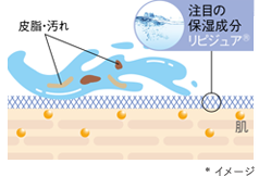 肌図:リビジュア®︎ *イメージ