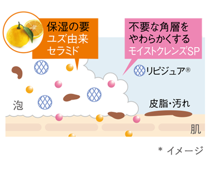 肌図:ユズ由来セラミド／モイストクレンズSP *イメージ