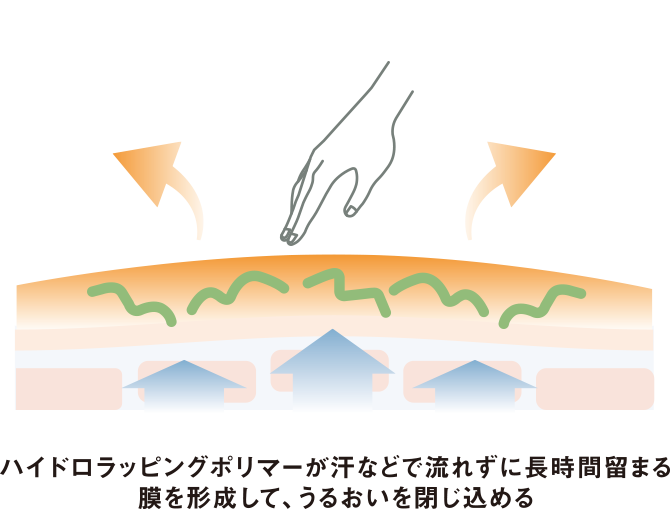 ハイドロラッピングポリマーが汗などで流れずに長時間留まる膜を形成して、うるおいを閉じ込める