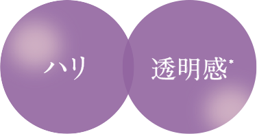 ハリ／透明感*