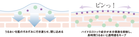 うるおいを肌のすみずみに行き渡らせ、閉じ込める／ハイドロストック成分が水分蒸散を抑制し、長時間うるおいと透明感をキープ