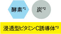 酵素*1＋炭*2＋浸透型ビタミンC誘導体*3