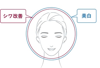 シワ改善 美白