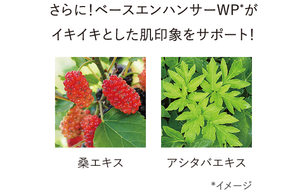 さらに！ベースエンハンサーWP*がイキイキとした肌印象をサポート！/桑エキス アシタバエキス *イメージ