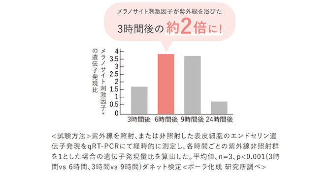 メラノサイト刺激因子の遺伝子発現比グラフ／メラノサイト刺激因子が紫外線を浴びた3時間後の約2倍に！＜試験方法＞紫外線を照射、または非照射した表皮細胞のエンドセリン遺伝子発現をqRT-PCRにて経時的に測定し、各時間ごとの紫外線非照射群を1とした場合の遺伝子発現量比を算出した。平均値、n=3、p＜0.001(3時間vs6時間、3時間vs9時間)ダネット検定＜ポーラ化成 研究所調ベ＞