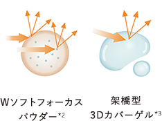 Wソフトフォーカスパウダー*2／架橋型3Dカバーゲル*3