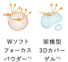 Wソフトフォーカスパウダー*2／架橋型3Dカバーゲル*3